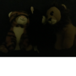 Cat club (sercret)