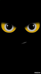 Focus-