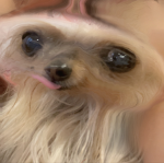 Dãñÿ loves animals