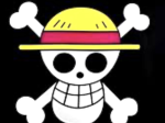 Straw hat pirates but a lot better