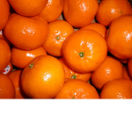 mandarine_ fan_ club