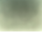 Fofo66