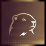 Groundhog UGC Store Group Thumbnail