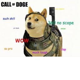National Doge Army Base