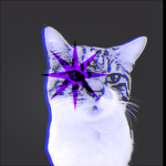 ‘νєχσяα’