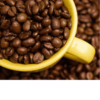 (código abierto) Prueba de generación OLD bb+