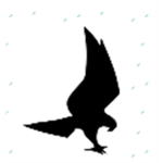 Clan Of Night