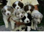Furryyyyyy Friendsssssss :)