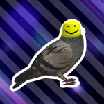 Pigeon BoI Studios
