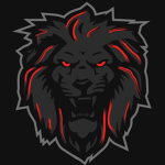 ROMAN TEAM