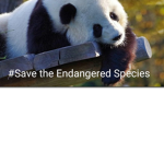 #Save the Endangered Species
