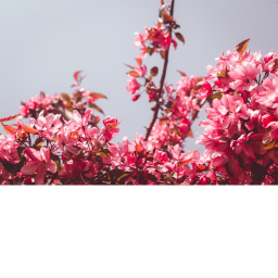 ♡︎