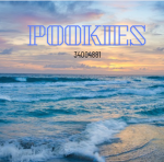 POOKIE3S