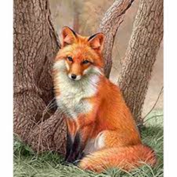 Fox Tycoon! (still in development)