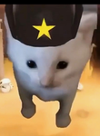 jCDOG
