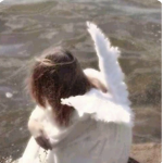 ⎯⎯ ୨ angellove ୧ ⎯⎯