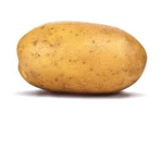 The potato fanclub originoel