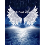 Cr1m1nal squad