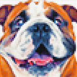 who want pencil?