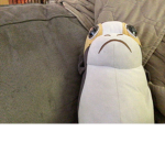 Porgy