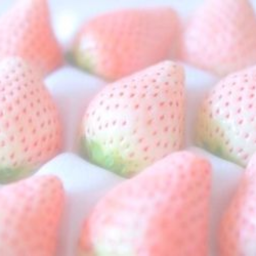 .˚ ୨ 🖇️ ୧ ˚.