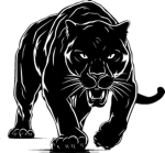 Black Leopard7