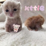 kttie