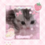ʚɞ cinnxmaroll.