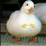 BIG PHAT DUCK
