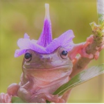 idk what this it