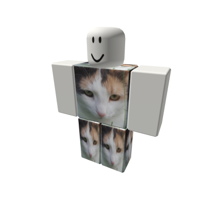 my cat