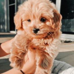 °. ˚̣