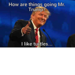 I like turtles gang