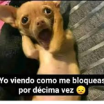 Mochis club