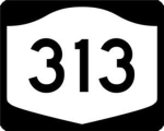 313