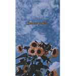 Aesthetic pretty close