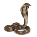 The Roblox Serpents