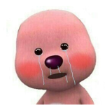 우리만의 파친 모임