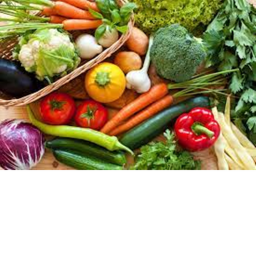 food of war 2.0