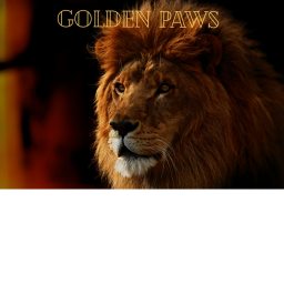 Golden Paws