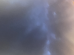 Misty_notfounds