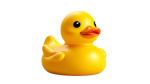 ducky's things