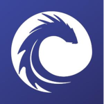 Eternal dragon studios