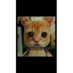 El Gato’s Friend Group