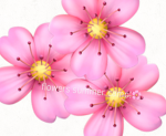 Flowers summer camp!