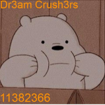 Dr3am Crush3rs