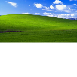 windows XP land