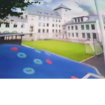 Danvik Skole Venner