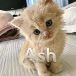 Ash ..