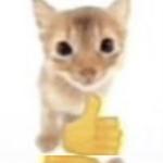 FoeverMek